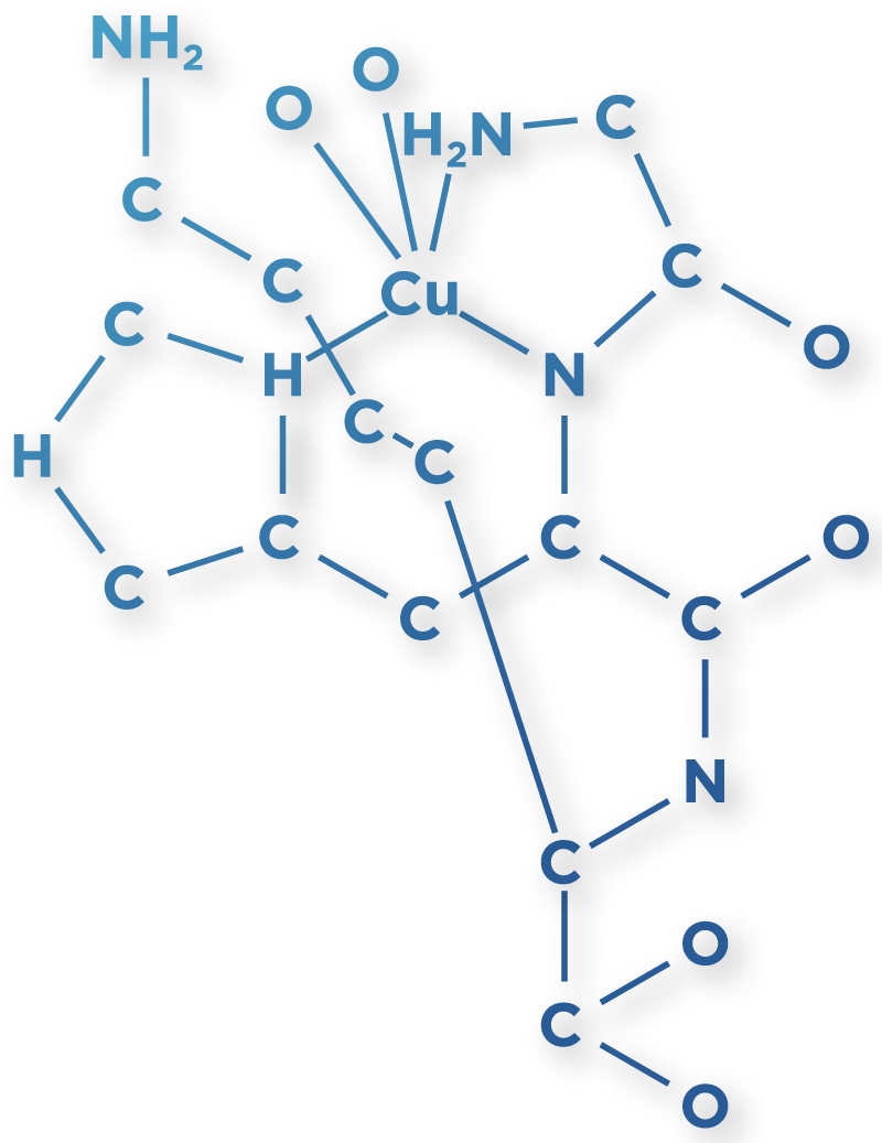 GHK-Cu Copper Peptide diagram